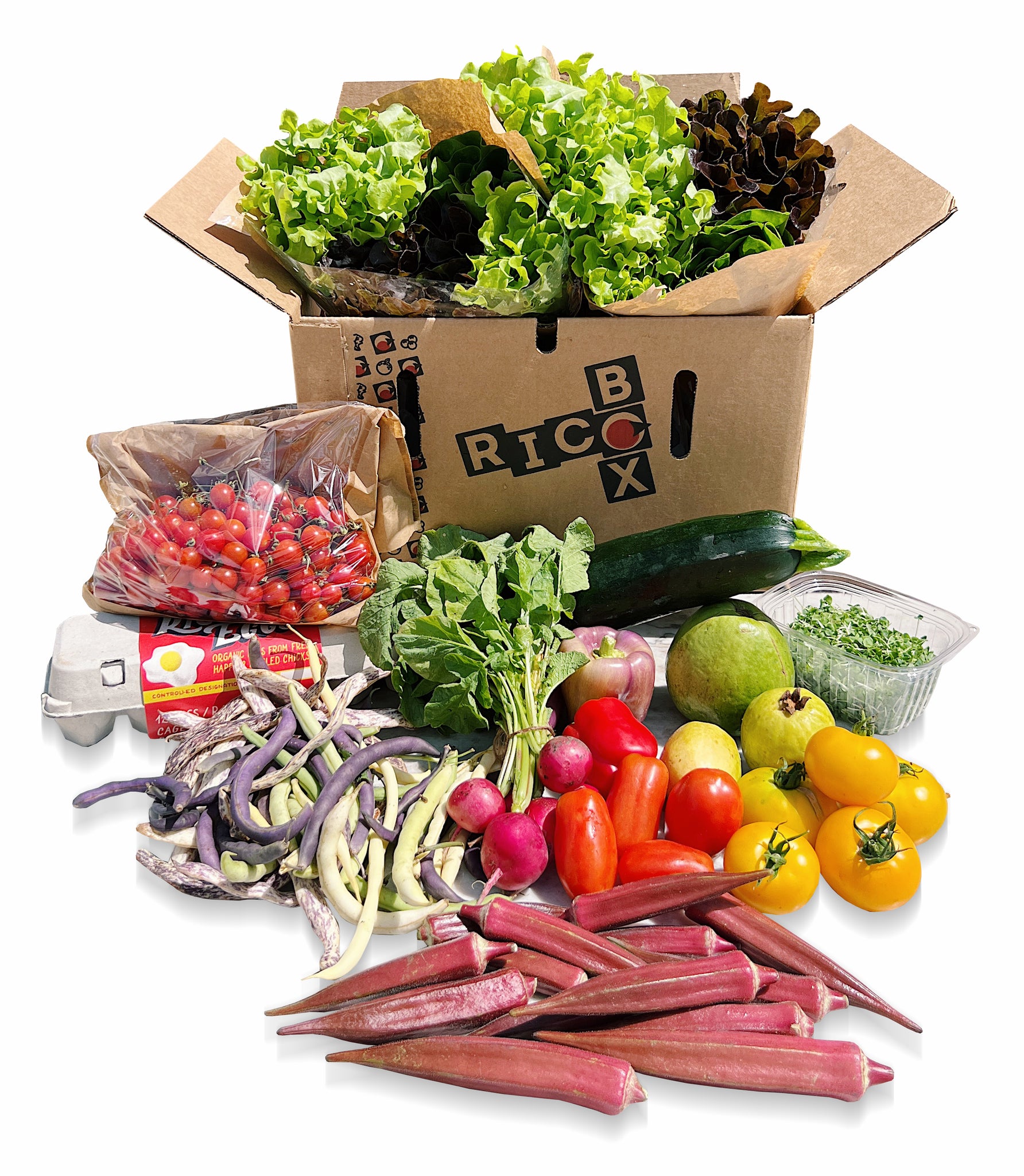 Large Produce Box